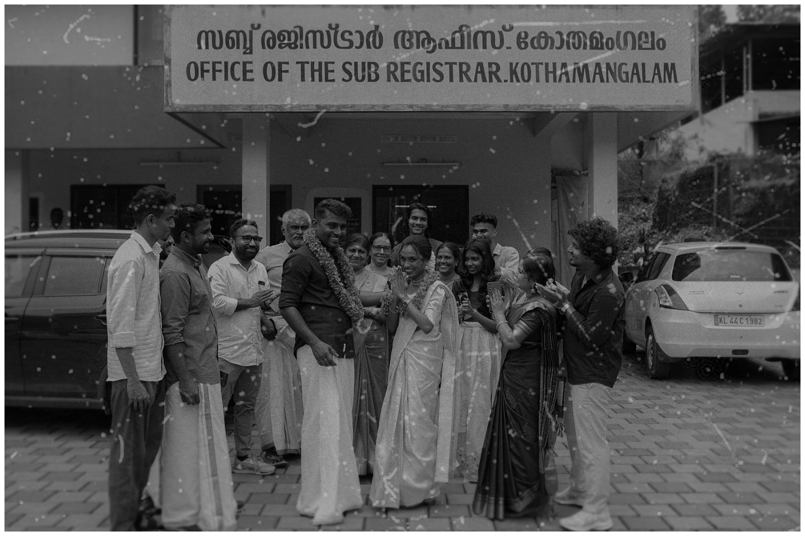 a forest after an apocalypse